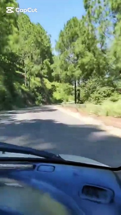 Peaceful Forest Road Journey | Relaxing Nature Walk | Calm Travel Video