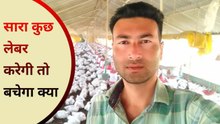 sara kuchh labour karegi to bachega kya | poultry farm profit | poultry farm business plan