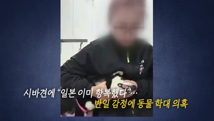 "일본 항복했잖아!"...시바견 때리는 중국인 애견 미용사 [앵커리포트] / YTN