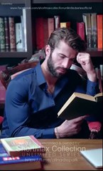 Lycan Princess Won't Be Your Luna Full Movie - ShortMax