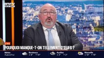 BFM Conso : Pourquoi manque-t-on tellement d'œufs ? - 22/12