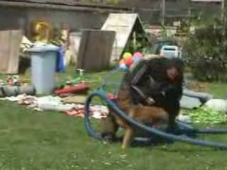 Toon's attaque belge amelioré