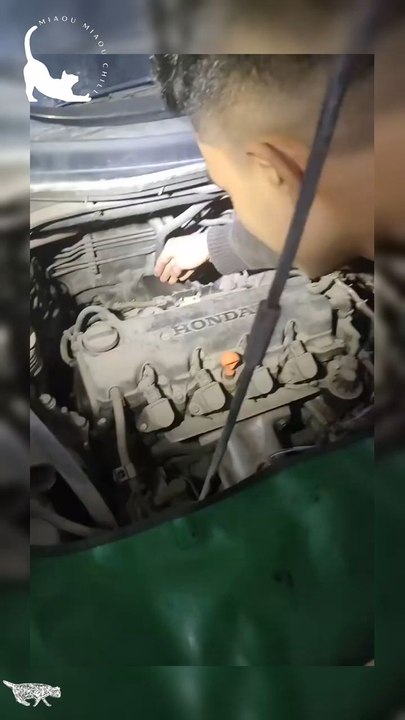 Try Not To Laugh Challenge : The Best Mechanic EVER !