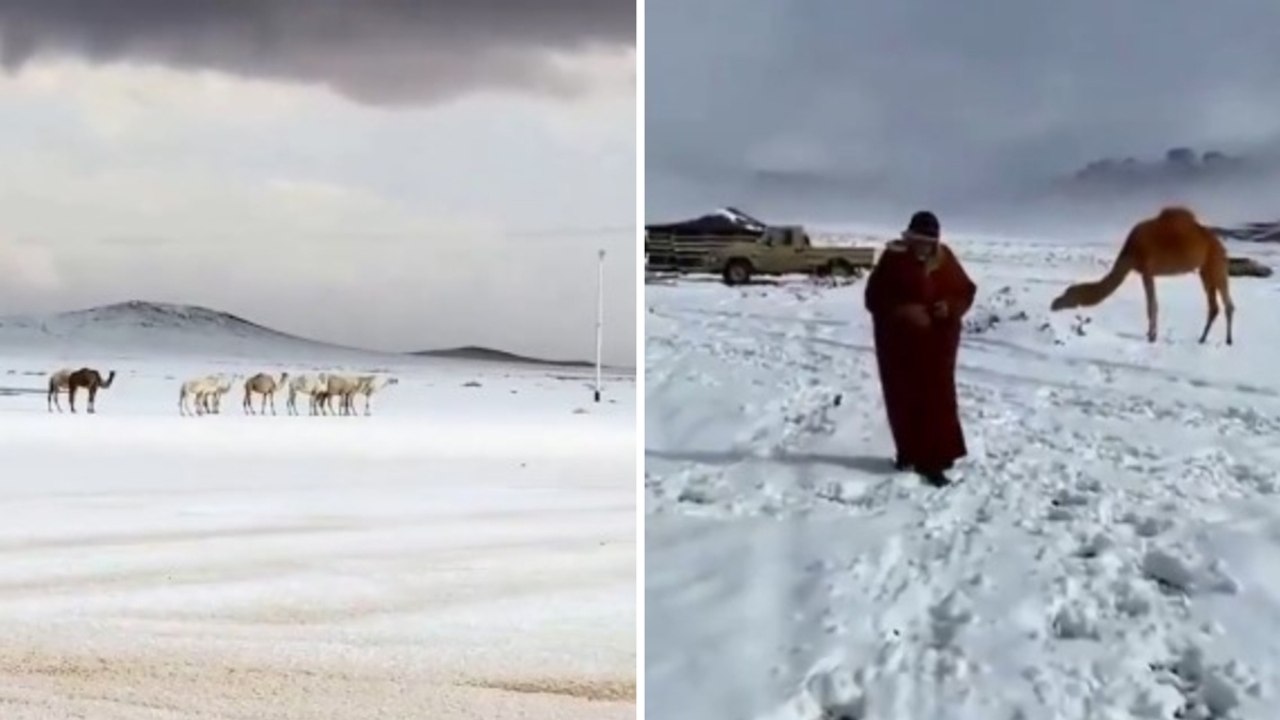 Neve in Arabia Saudita: il deserto si tinge di bianco | Il video