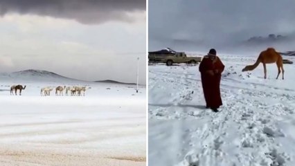 Neve in Arabia Saudita: il deserto si tinge di bianco | Il video