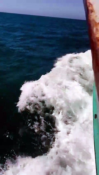 Nature , Ocean and Fishing