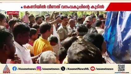 കടുവ വനംവകുപ്പിന്റെ കെണിയിൽ വീണു; കുമ്പളത്താമണ്ണിലെ നാട്ടുകാർക്ക് ആശ്വാസം