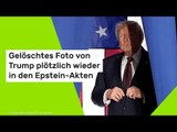 Gelöschtes Foto von Trump plötzlich wieder in den Epstein-Akten