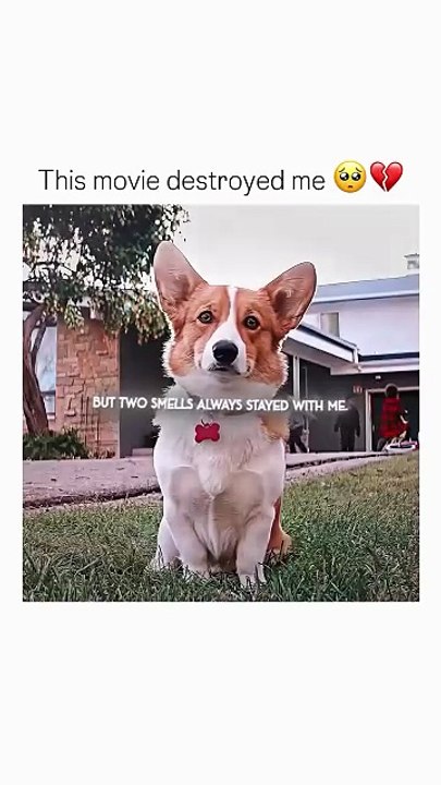 This movie destroyed me🥺💔