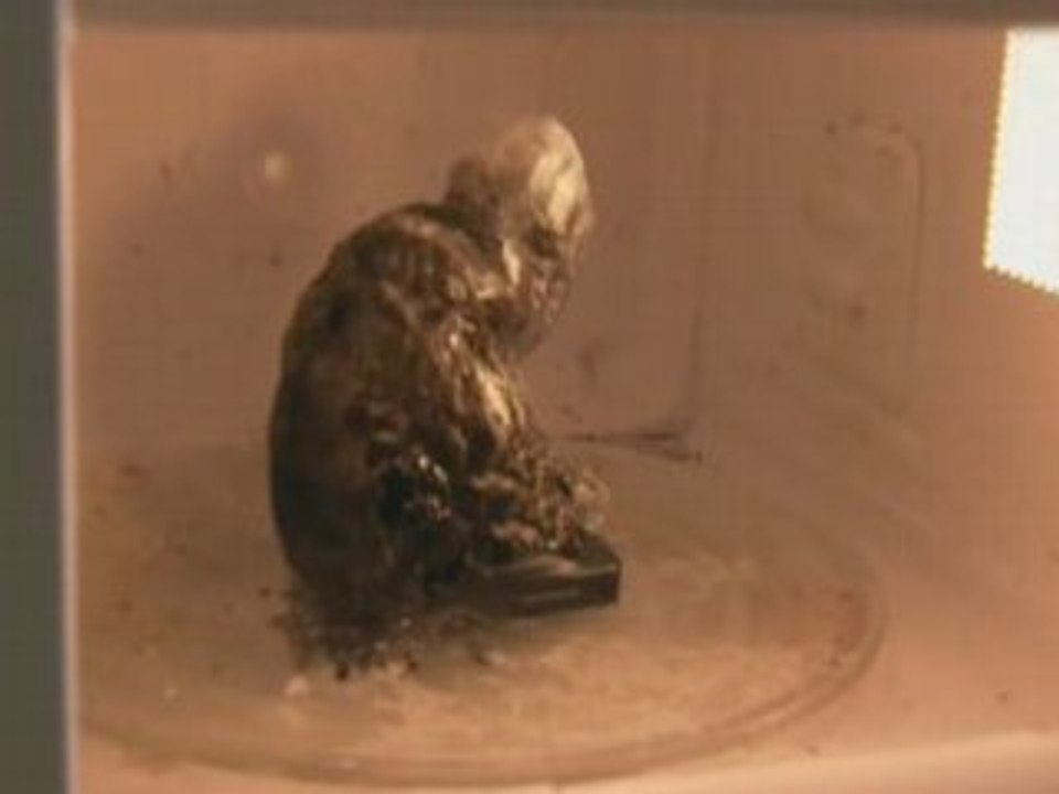 Téléphone dans micro-ondes