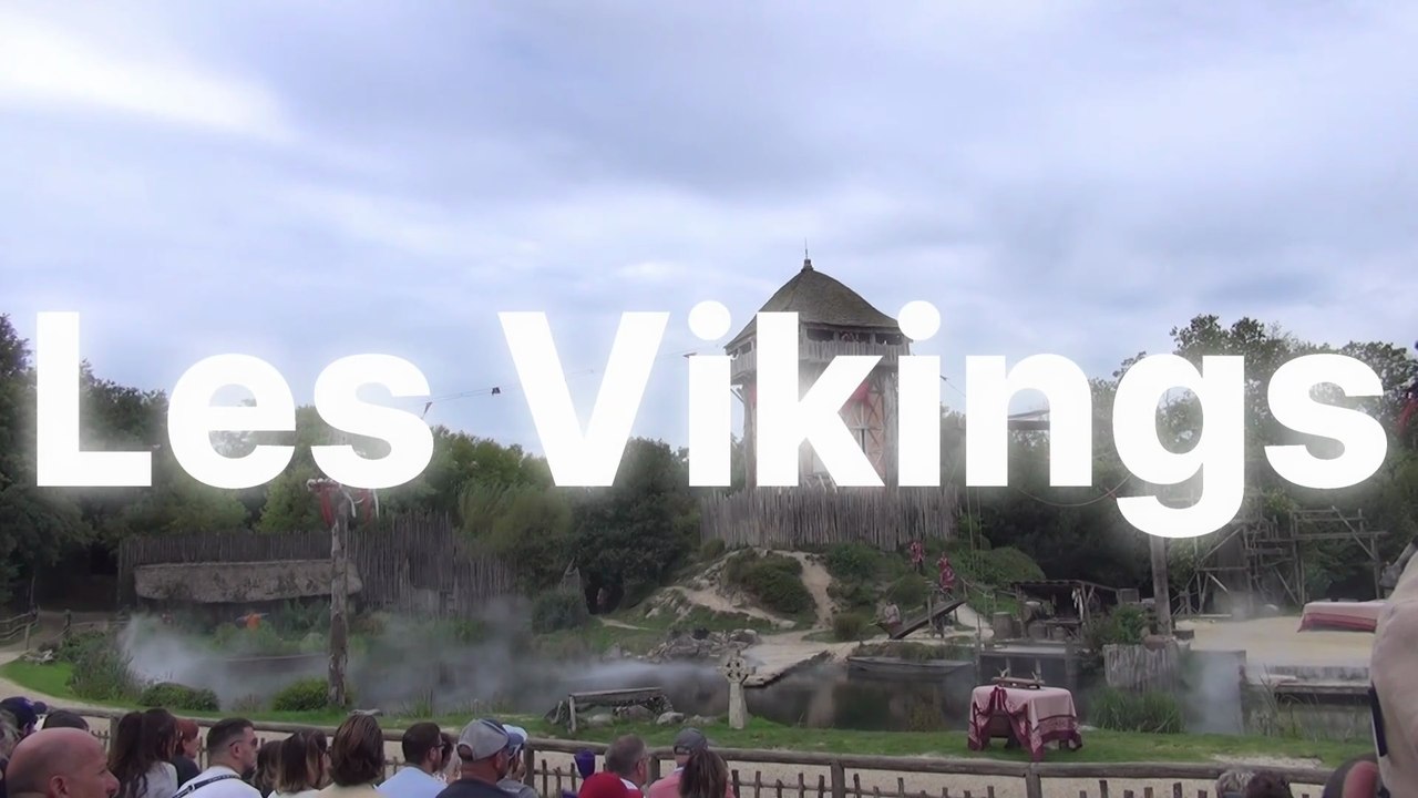 Les Vikings