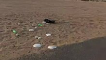 UAE: Litter in desert despite trash cans placed nearby