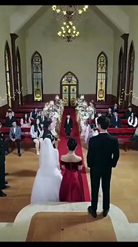 Fates Entwined - Her Stolen Memories (English Sub)