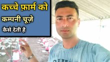 form ko company chuje kaise deti hai | poultry farming business plan | poultry farming business