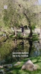 Rented a Billionaire Husband for Christmas Full Movies English Sub dailymotion