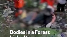 Bodies in a Forest Linked to Gang Violence
