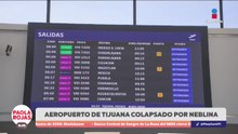 Neblina paraliza operaciones en el Aeropuerto de Tijuana | DPC con Paola Rojas