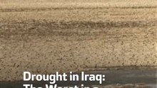 Drought in Iraq :The Worst in a Century