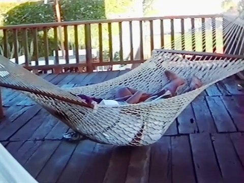 Zeca Veloso - Boas Novas (Vídeo Oficial)