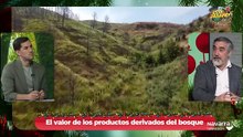 Los bosques navarros como impulso al emprendimiento rural