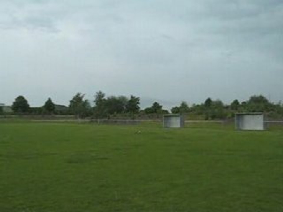 Trex 500 looping et crash