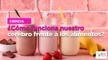 ¿Cómo funciona nuestro cerebro frente a los alimentos?
