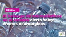 El hallazgo de microplásticos en el cerebro alerta sobre efectos neurológicos