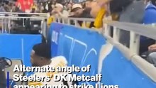 Alternate angle of Steelers' DK Metcalf striking Lions fan emerges