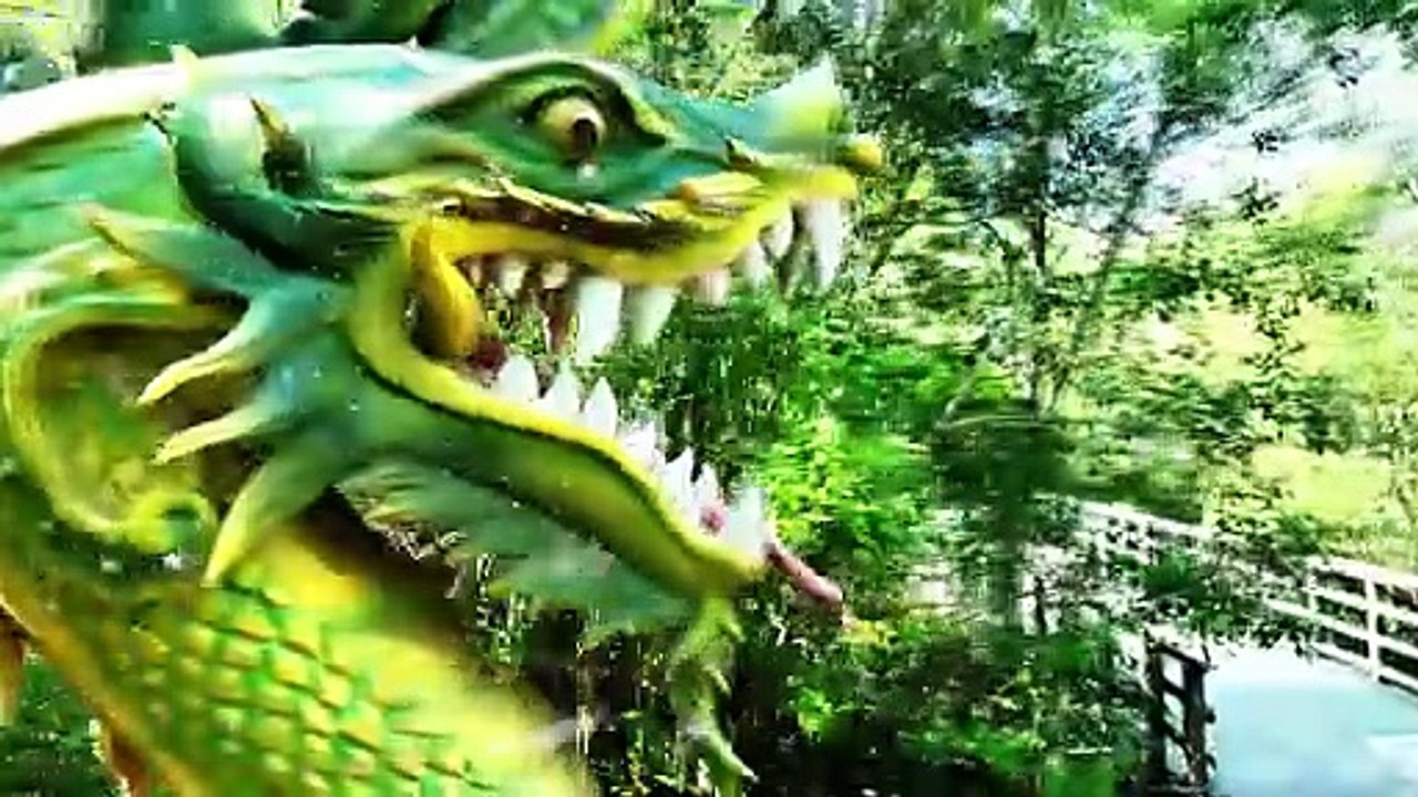 Dragons at Audubon Zoo