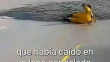 Policía arriesga su vida para rescatar a un perro en lago congelado