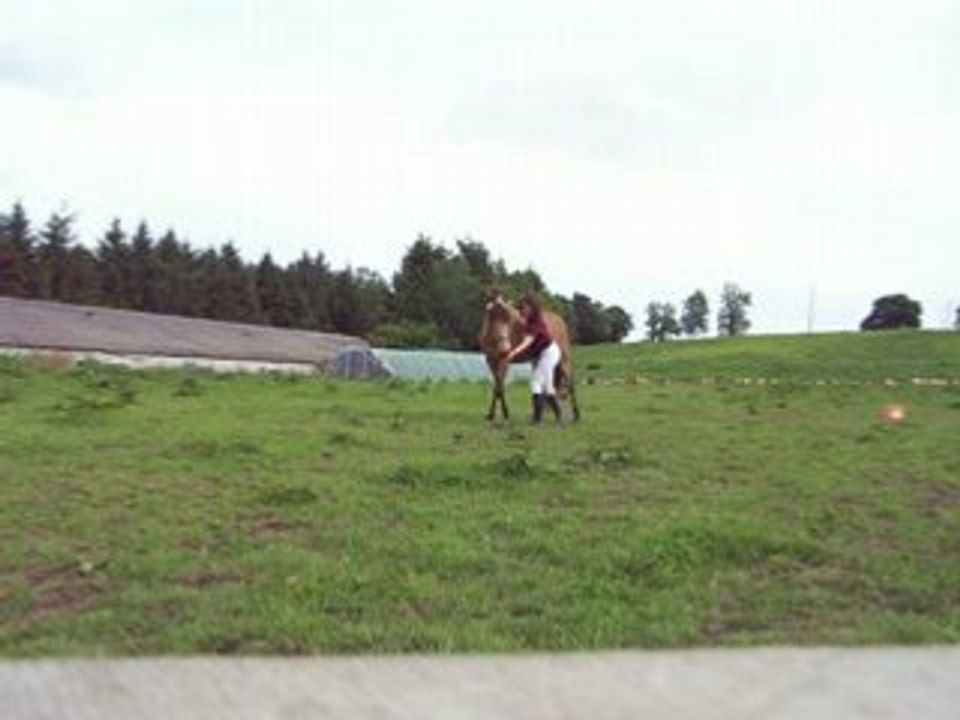 essai