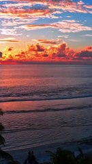 Miss You in the Light - Musique AMIS