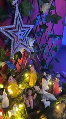 Nacimientos navideños llenan de tradición y turismo a Valle de Ángeles