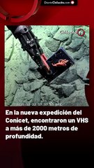 En la nueva expedición del Conicet, encontraron un