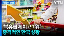 물가 비싼 북유럽도 한국 뒤... 충격적인 체감 물가 상황 [지금이뉴스] / YTN