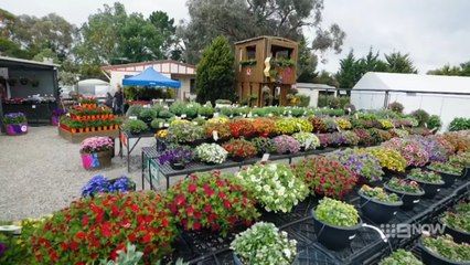 The Garden Gurus Season 39 Episode 19