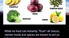 foods that flush mucus from your body