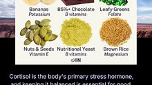 foods that naturally balance cortisol
