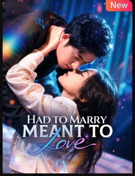 Had to Marry, Meant to Love Drama Movies English Sub