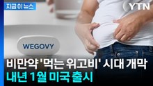 비만약 '먹는 위고비' 시대 개막... 내년 1월 미국 출시 [지금이뉴스] / YTN