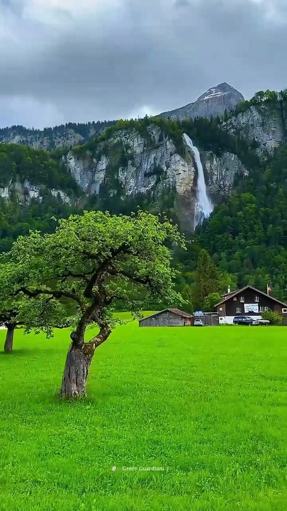 VID-20green land