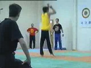 Tae Kwon Do-Capoiera