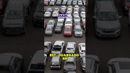 Miles de multas por Soat y técnico-mecánica podrían caerse | Pulzo