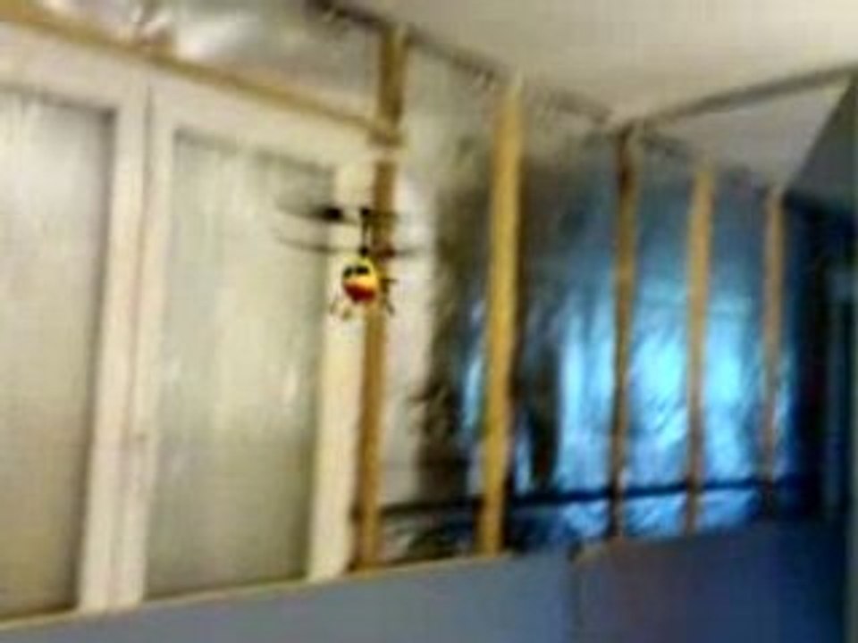 Picooz vs mosquito vol parfait GJ!!!