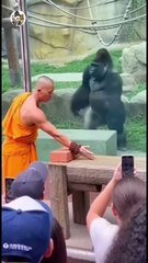 Monk Breaks Brick Then Gorilla Breaks Something Bigger 😱 #subscribe #shorts
