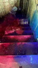 Breaking glass bottles #fyp #viral #foryou #goviral #glassbottles #bottle