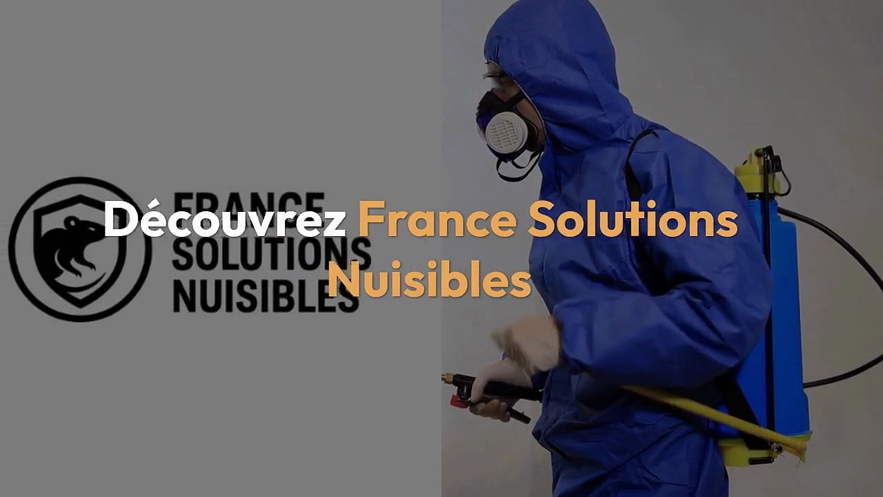 Entreprise de désinsectisation professionnelle et certifiée