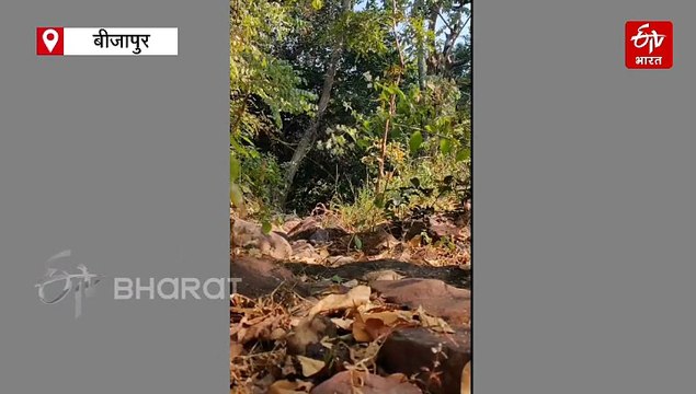 बीजापुर में बड़ा नक्सल ऑपरेशन, उसूर में माओवादियों का मिला बड़ा डंप, कर्रेगुट्टा हिल्स के डोलीगुट्टा में 2 IED किया डिफ्यूज