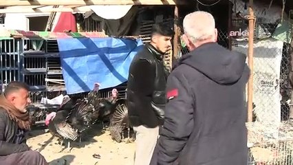 Diyarbakır’da hayat pahalılığı hindi satışlarını da vurdu