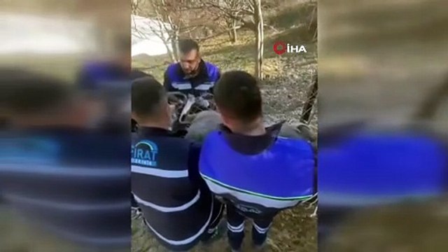 Tellere takılan yaban keçisi için seferber oldular